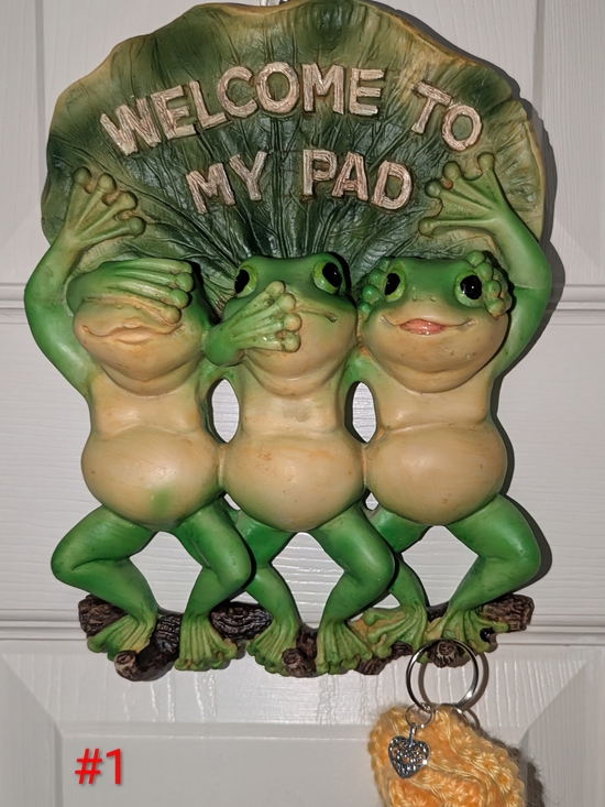 Other - "Welcome To My Pad" Frog Keychain Holder